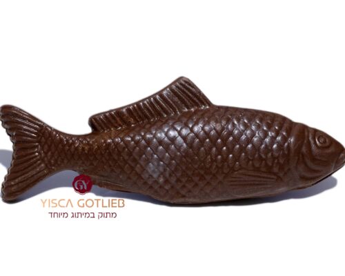 דג